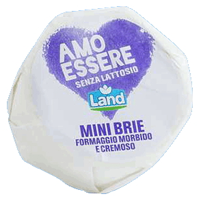 Mini Brie Amo Essere Senza Lattosio Land