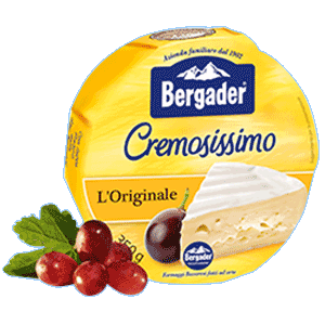 Formaggio Cremosissimo L'Originale Bergader