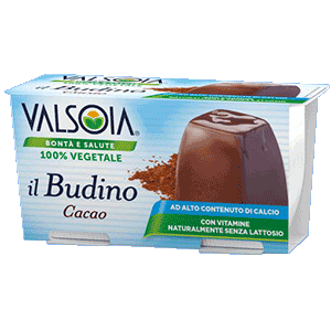 Budino di Soia Vegetale Senza Lattosio al Cacao Valsoia