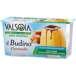 Budino Caramello Valsoia