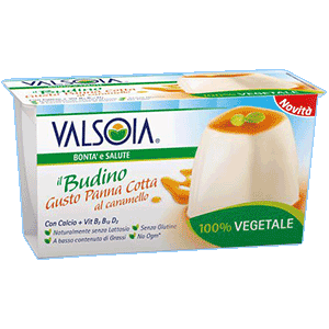 Il Budino Gusto Panna Cotta al Caramello Valsoia